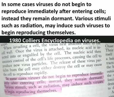 do viruses respond to their environment