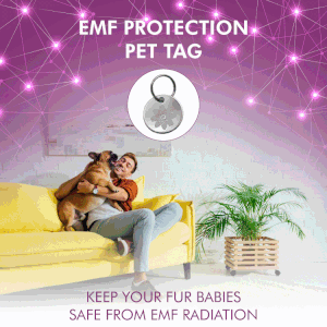 emf pendant for dogs